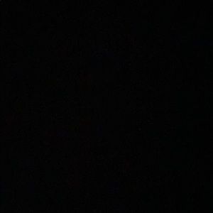 Meet your Posher, Damarie